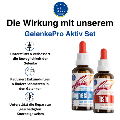 GelenkPro Aktiv Set - (Magnesium & MSM +  Vitamin D3 K2 GRATIS dazu)