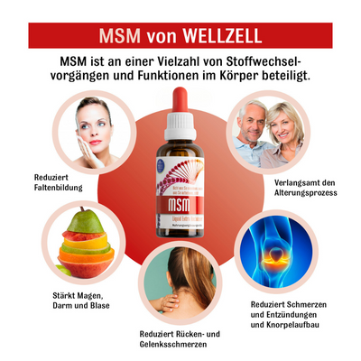 MSM Booster - MSM Tropfen (Methylsulfonylmethan) - Vegan