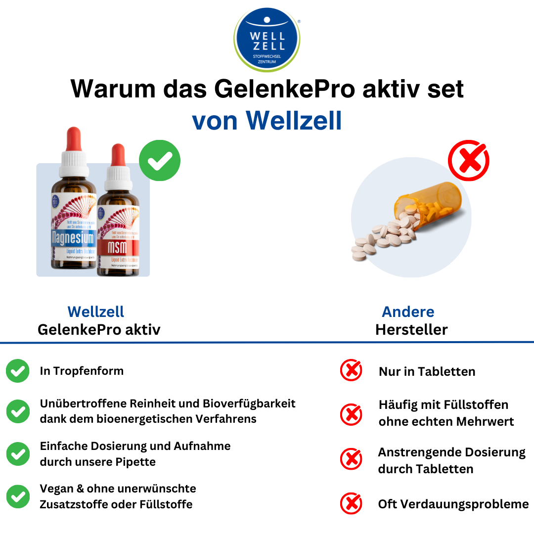 GelenkPro Aktiv Set - (Magnesium & MSM +  Vitamin D3 K2 GRATIS dazu)