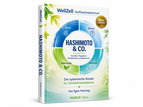 Hashimoto & Schilddrüsenunterfunktion verstehen:  Systemischer Stoffwechsel-Ratgeber für Frauen | E-Book