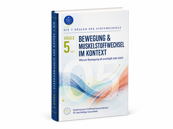 Die 5. Säule des Stoffwechsels – Bewegung, Muskelstoffwechsel & Energieproduktion | E-Book