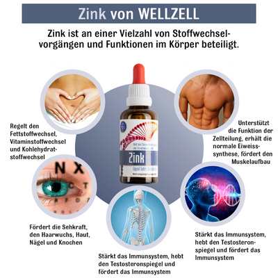 Zink Booster - WellZell Zink Tropfen - Nahrungsergänzungsmittel