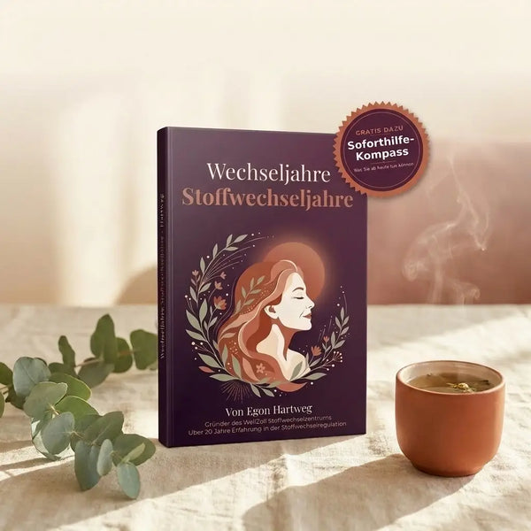 Wechseljahre verstehen – Stoffwechsel, Hormone & Gesundheit für Frauen | E-Book
